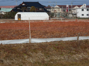 ホームページが完成しました。