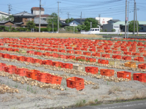 ホームページが完成しました。