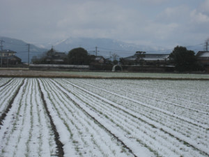 ホームページが完成しました。