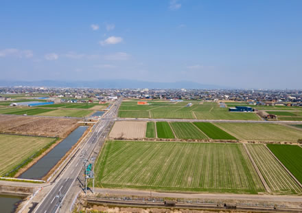 農地転用