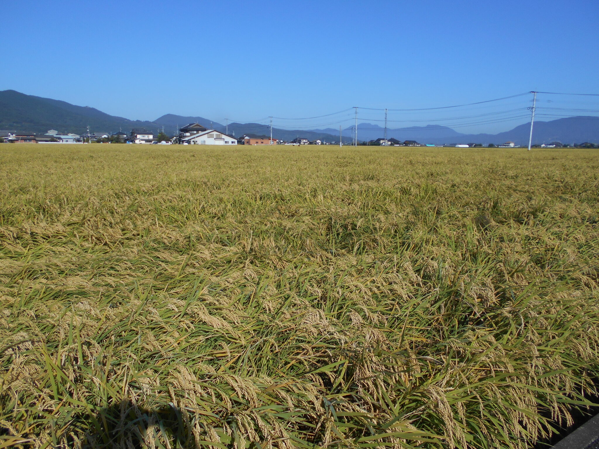 2021.10.5ブログ更新します。
