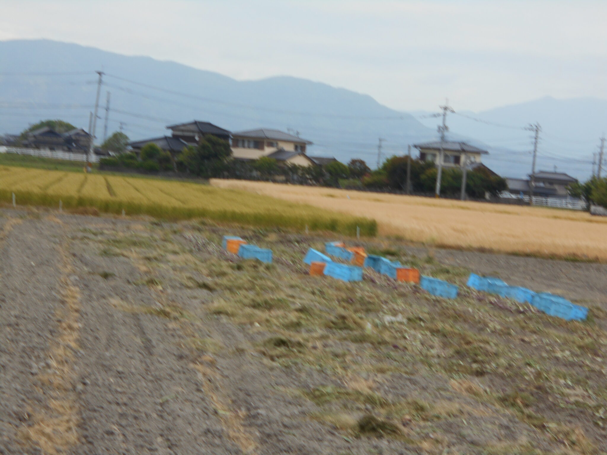 2022.5.5ブログ更新します。