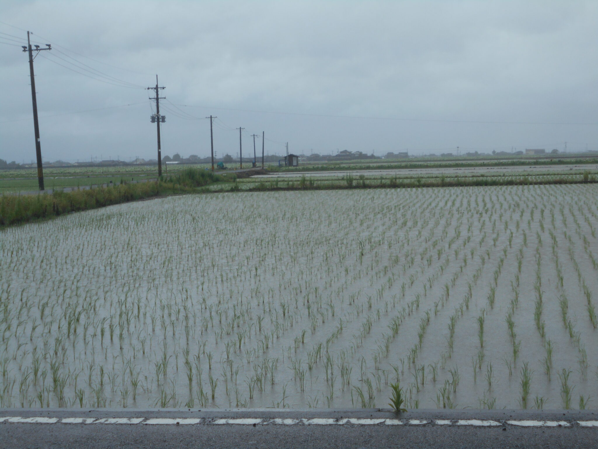 2023.6.29ブログ更新します。
