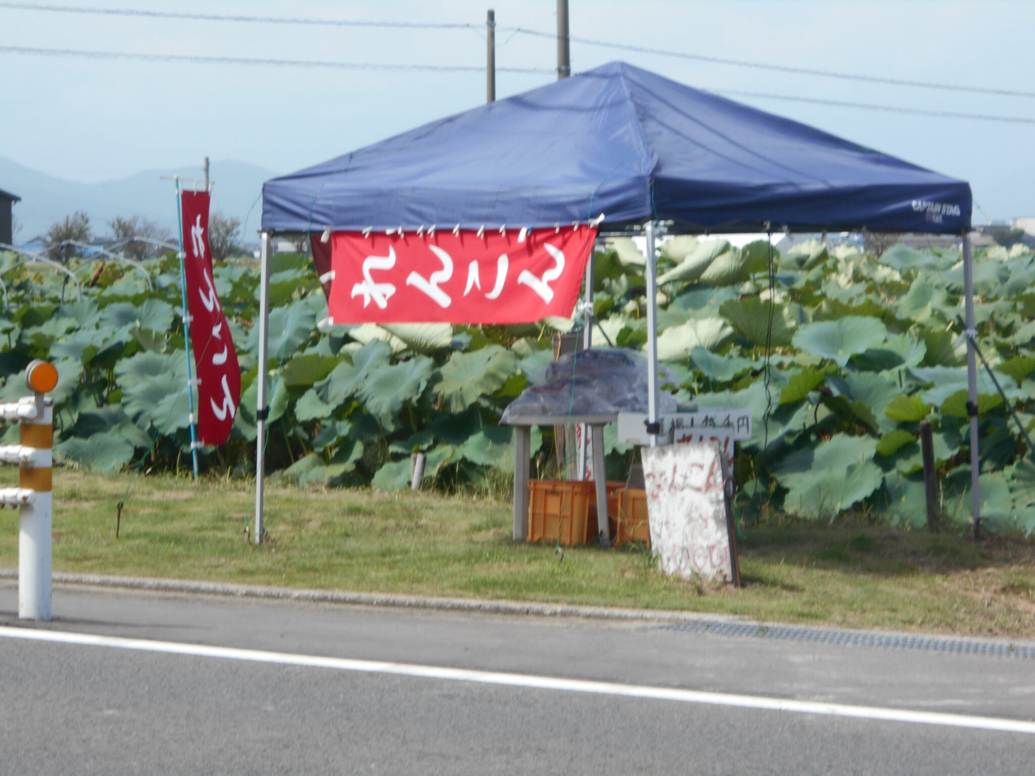 2023.9.17ブログ更新します。