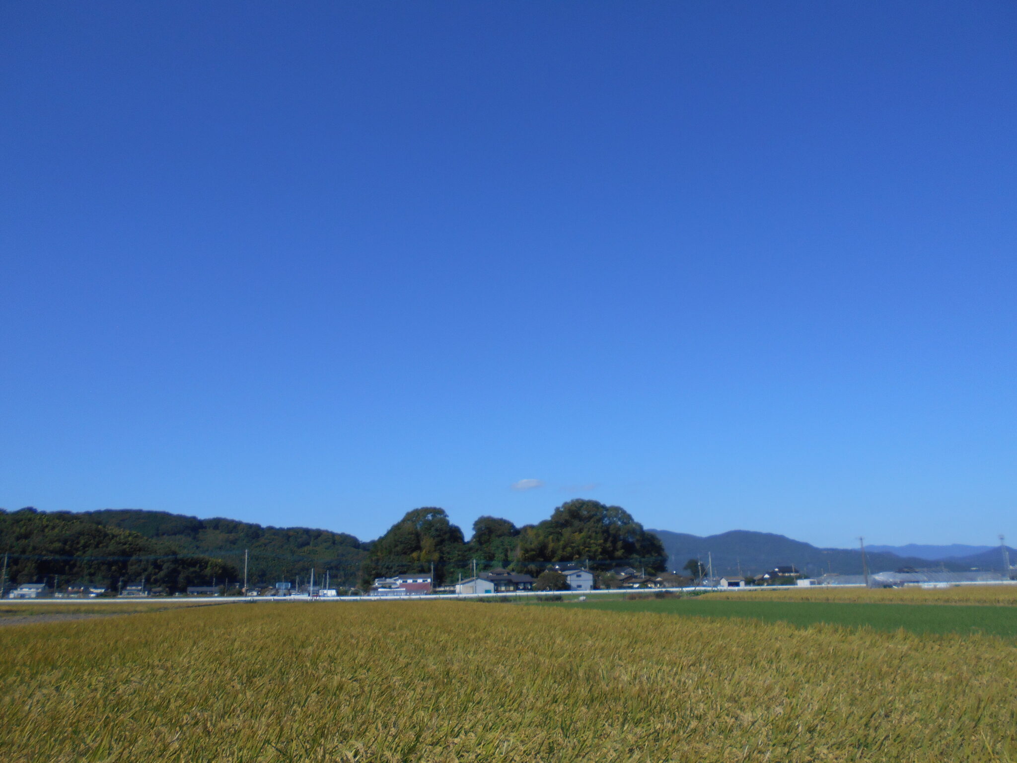 2025.9.26ブログ更新します。