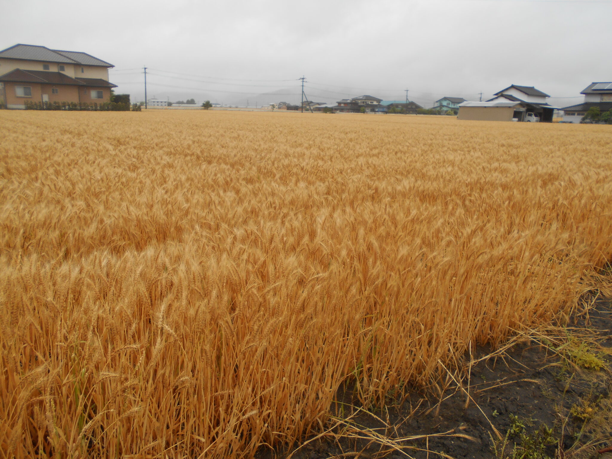 2026.4.30ブログ更新します。