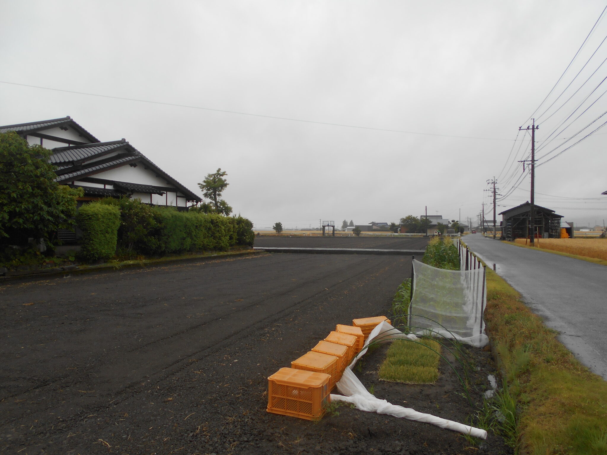 2026.5.16ブログ更新します。