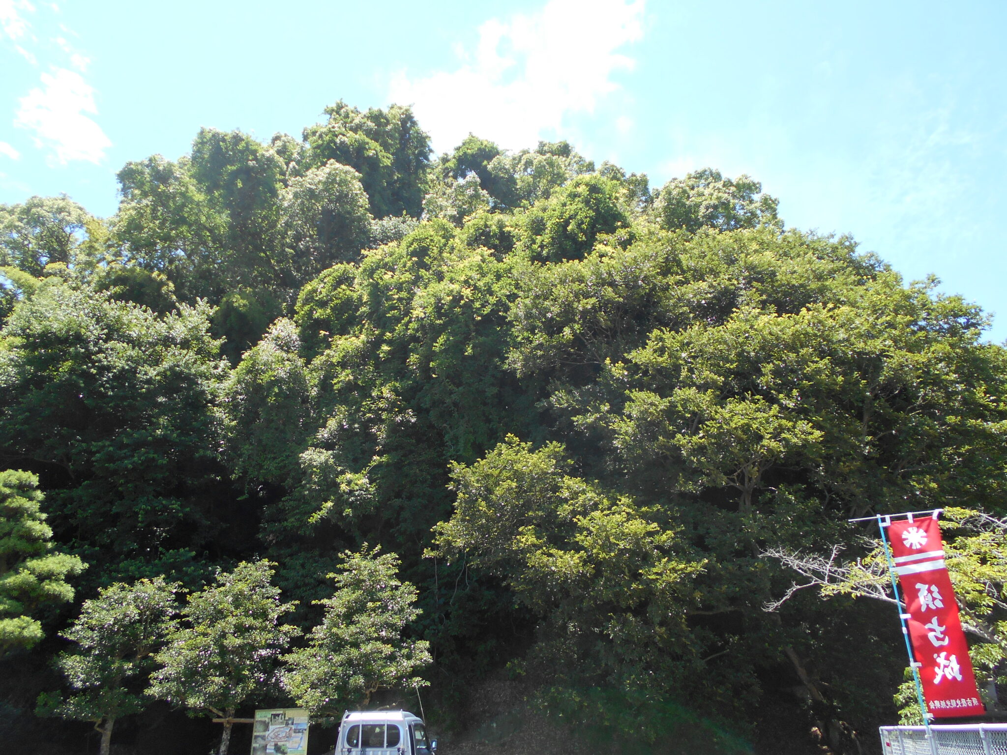 2026.6.1ブログ更新します。